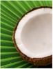 Azúcar de Coco Orgánica 454 g